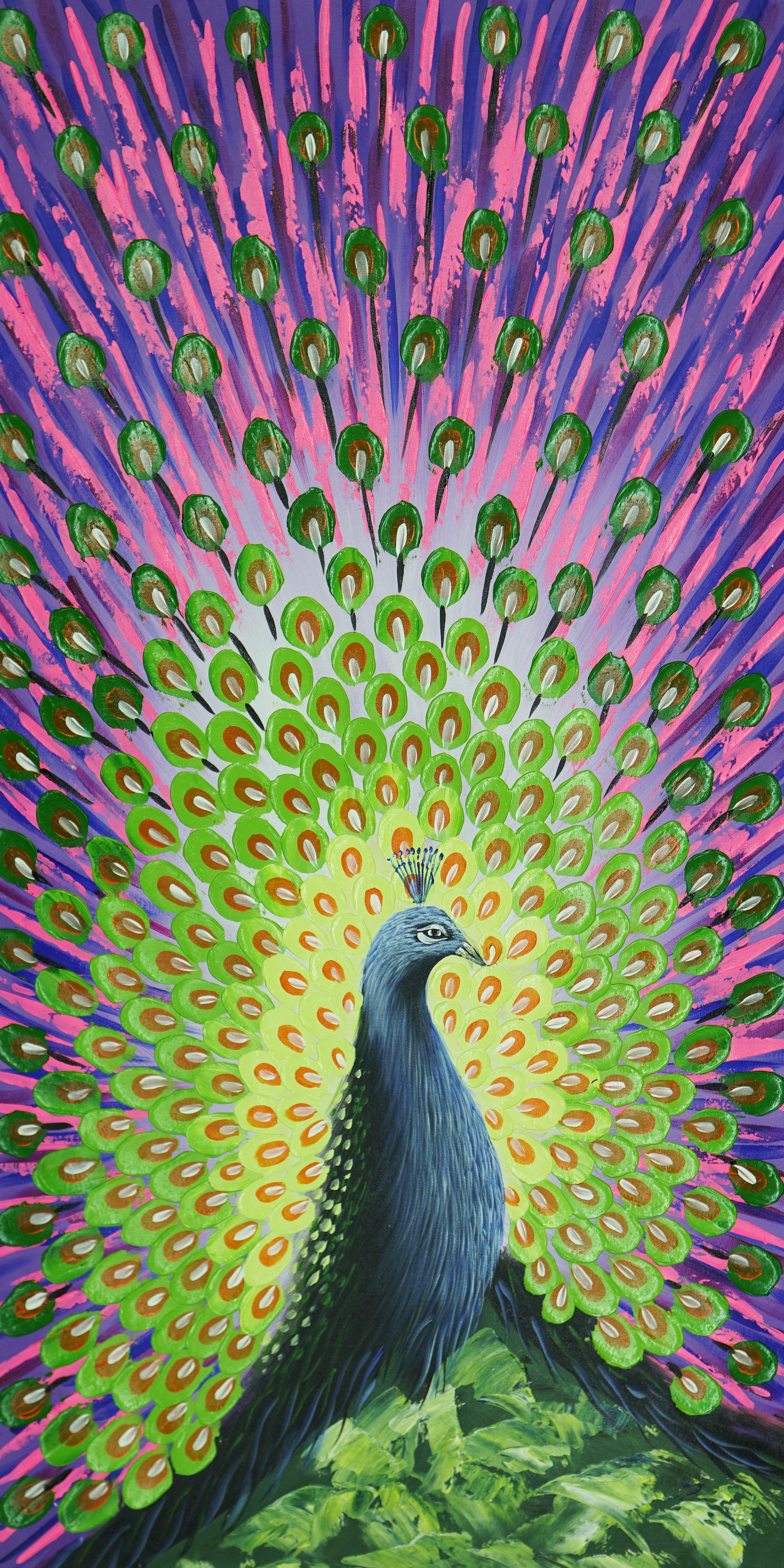 Peacock Opening 孔雀开屏